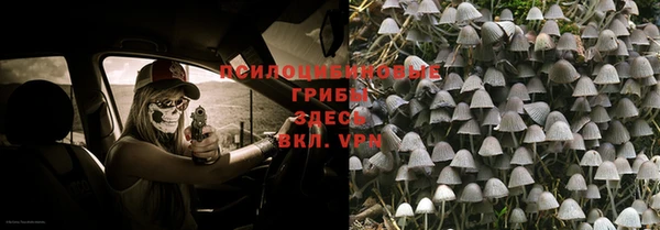 мдпв Дмитровск