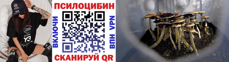 Псилоцибиновые грибы MAGIC MUSHROOMS Югорск