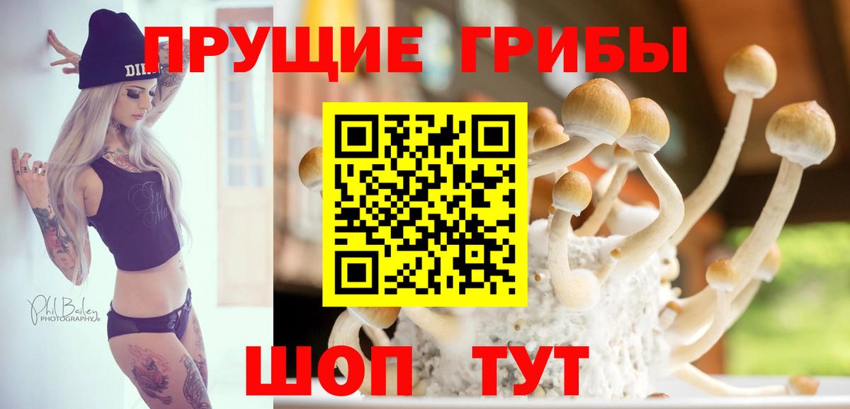Югорск  Галлюциногенные грибы Psilocybe  Вход с VPN 